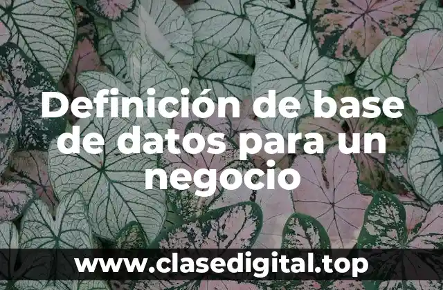 Definición de base de datos para un negocio