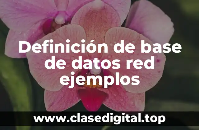 Definición de base de datos red ejemplos
