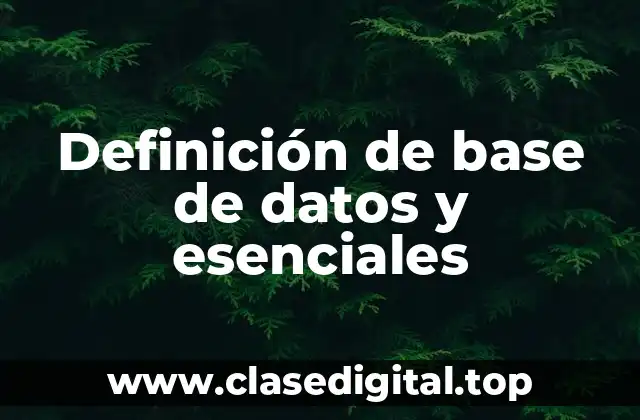 Definición de base de datos y esenciales