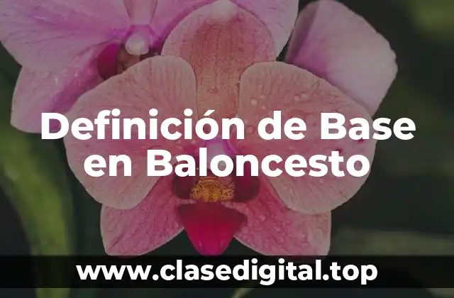 Definición de Base en Baloncesto