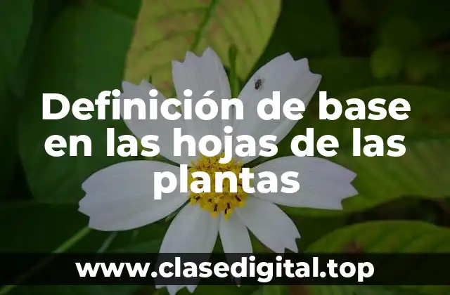 Definición de base en las hojas de las plantas