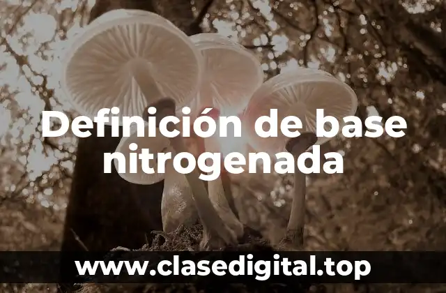 Definición de base nitrogenada