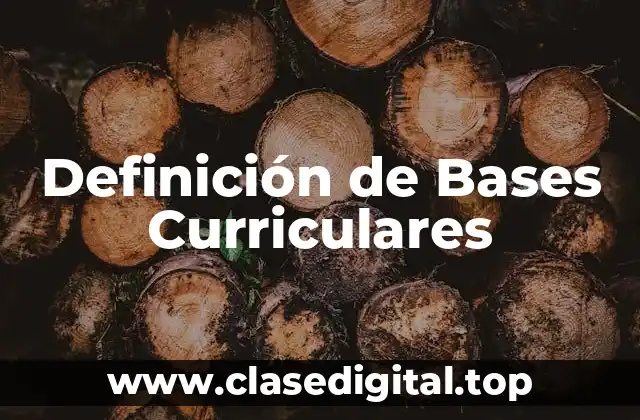 Definición técnica de Bases Curriculares