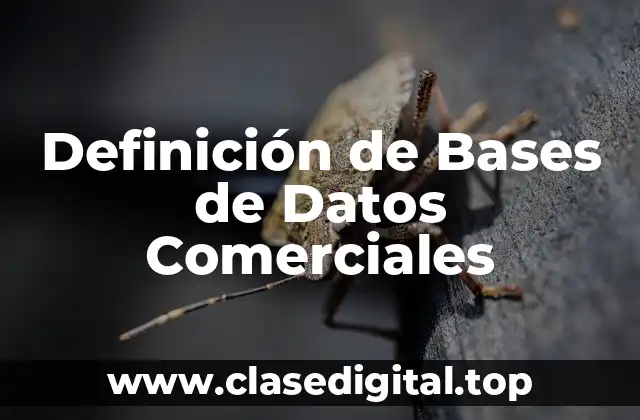 Definición de Bases de Datos Comerciales