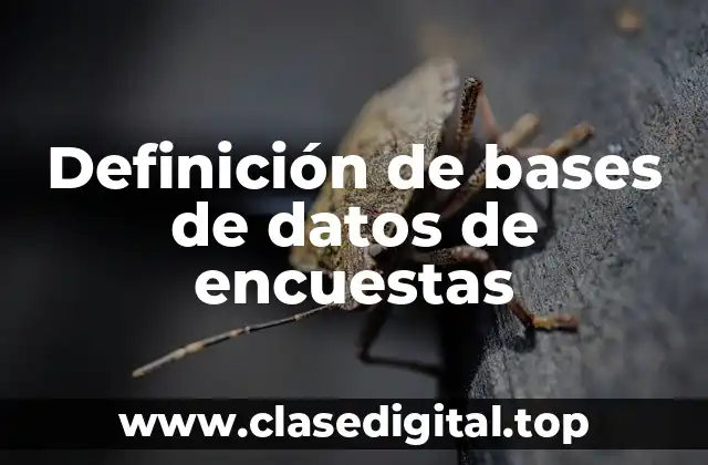Definición de bases de datos de encuestas