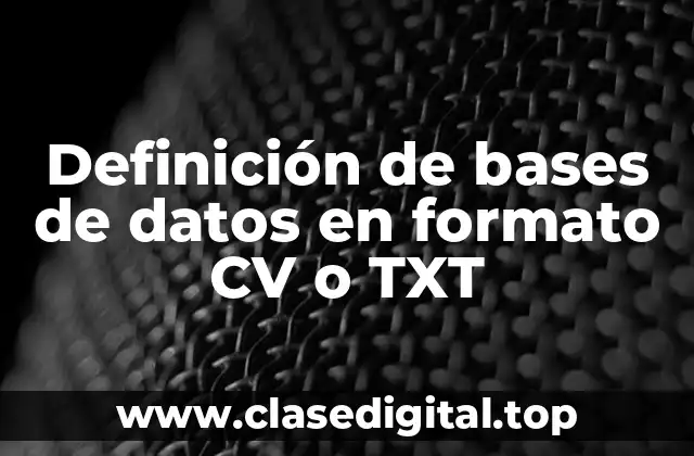 Definición de bases de datos en formato CV o TXT