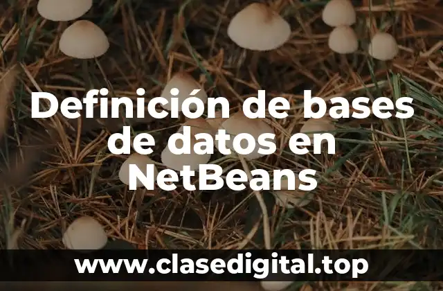 Definición de bases de datos en NetBeans