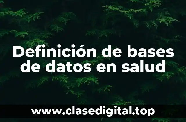 Definición de bases de datos en salud