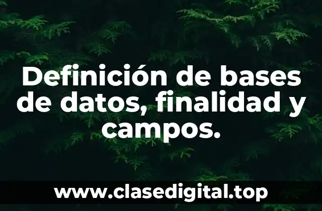 Definición de bases de datos, finalidad y campos.