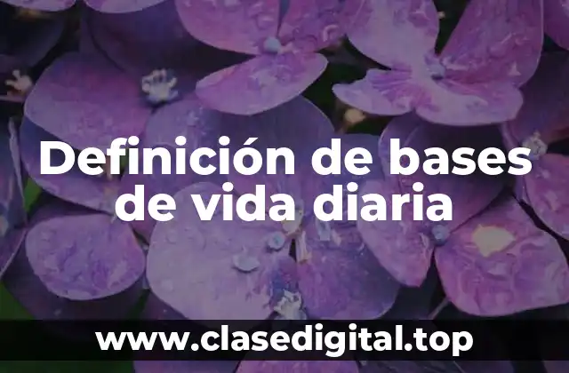 Definición de bases de vida diaria