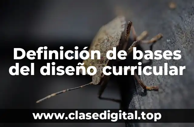 Definición de bases del diseño curricular