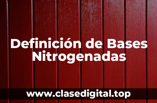 Definición de Bases Nitrogenadas