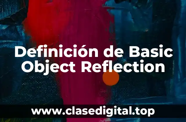 Definición de Basic Object Reflection