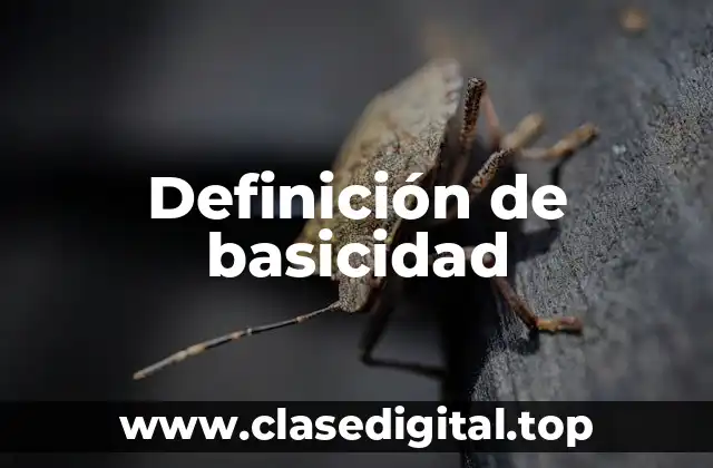 Definición de basicidad