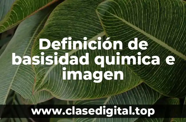Definición de basisidad quimica e imagen