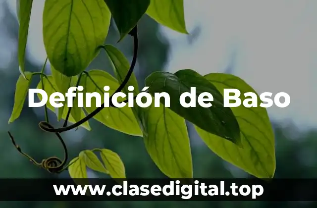 Definición de Baso