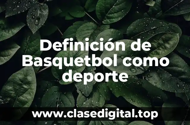 Definición técnica de Basquetbol