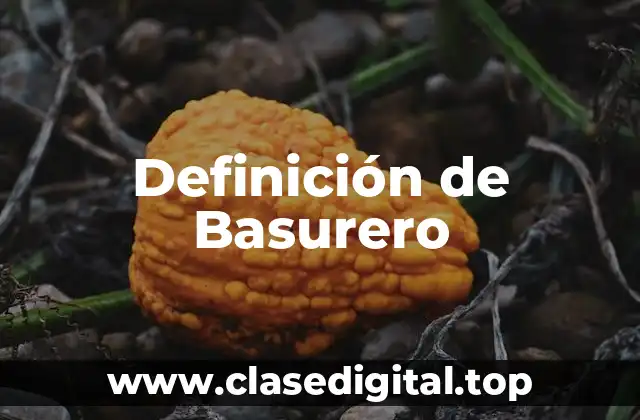 Definición de Basurero