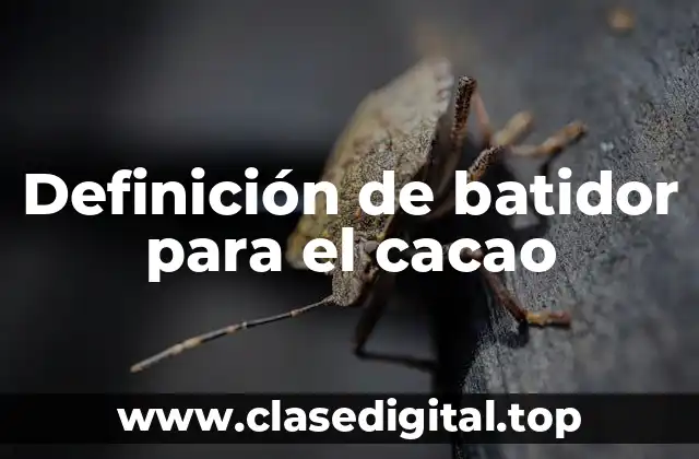 Definición de batidor para el cacao