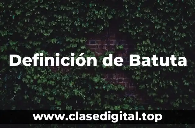 Definición de Batuta