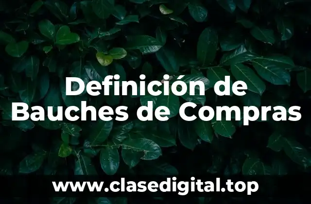 Definición de Bauches de Compras