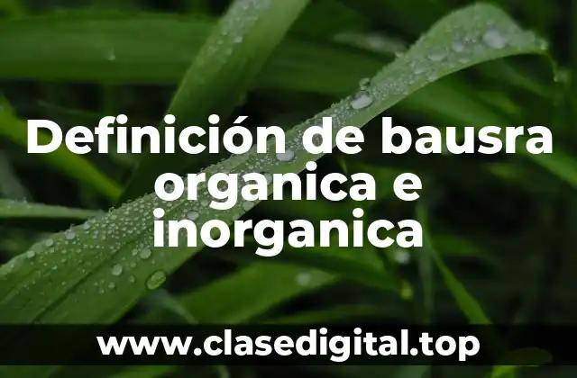 Definición de bausra organica e inorganica