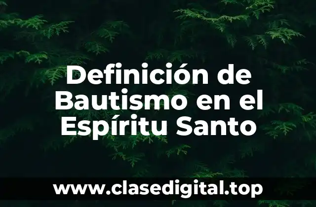 Definición de Bautismo en el Espíritu Santo