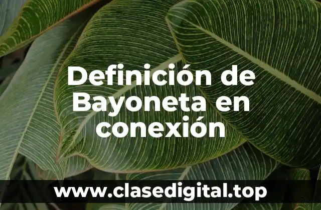 Definición de Bayoneta en conexión