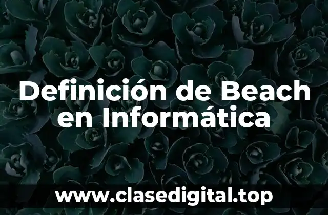 Definición de Beach en Informática