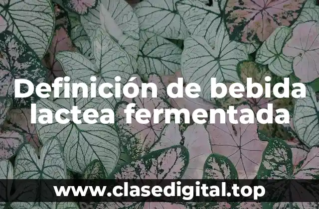 Definición de bebida lactea fermentada