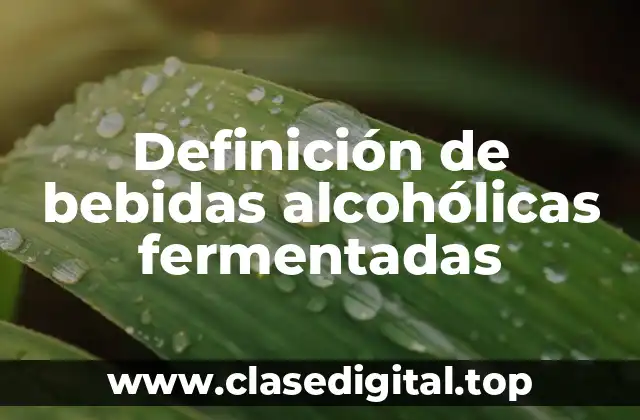 Definición de bebidas alcohólicas fermentadas