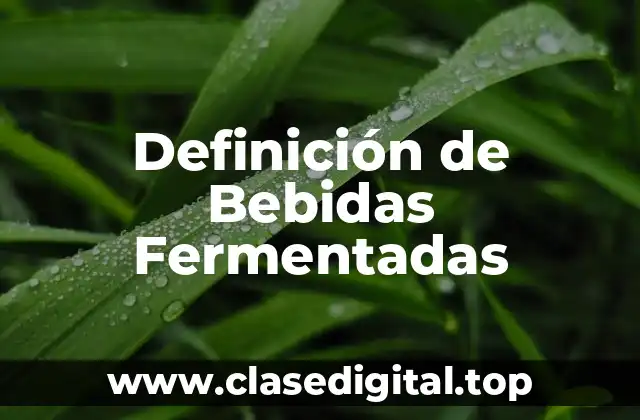 Definición Técnica de Bebidas Fermentadas