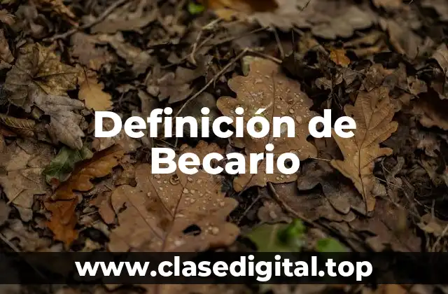 Definición de Becario