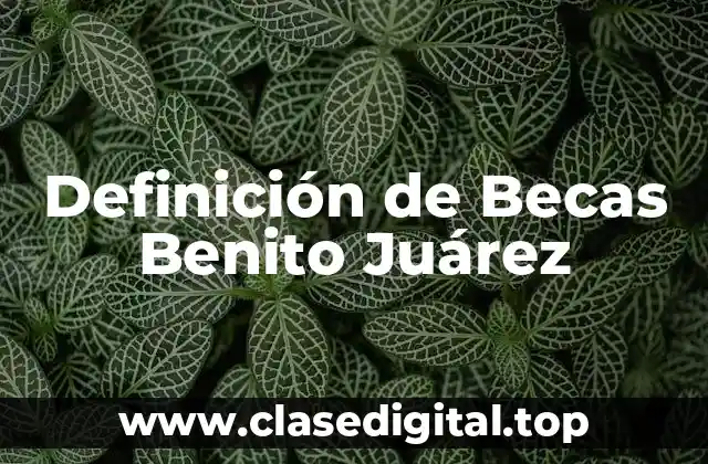 Definición de Becas Benito Juárez