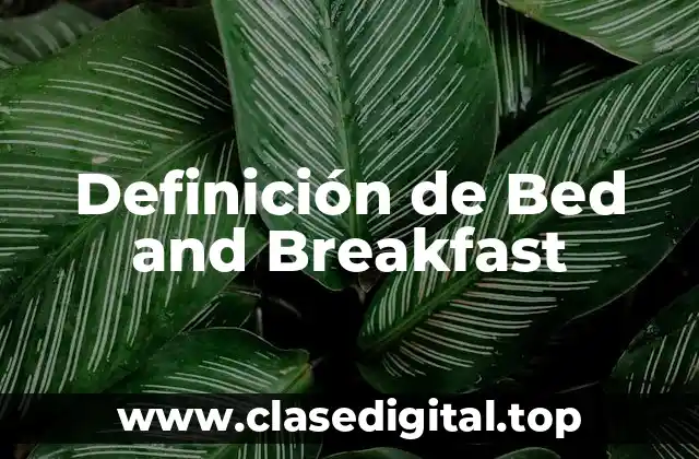 Definición de Bed and Breakfast