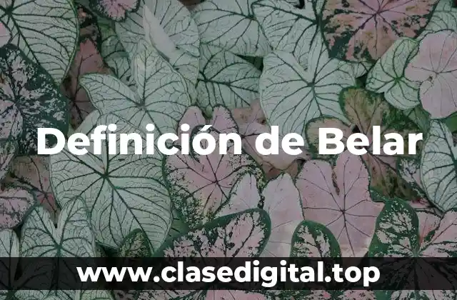 Definición técnica de Belar