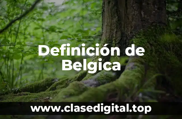 Definición de Belgica