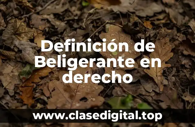 Definición de Beligerante en derecho