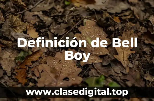 Definición de Bell Boy