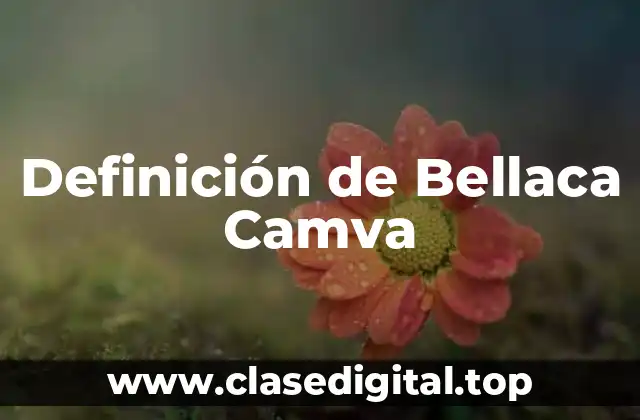 Definición de Bellaca Camva