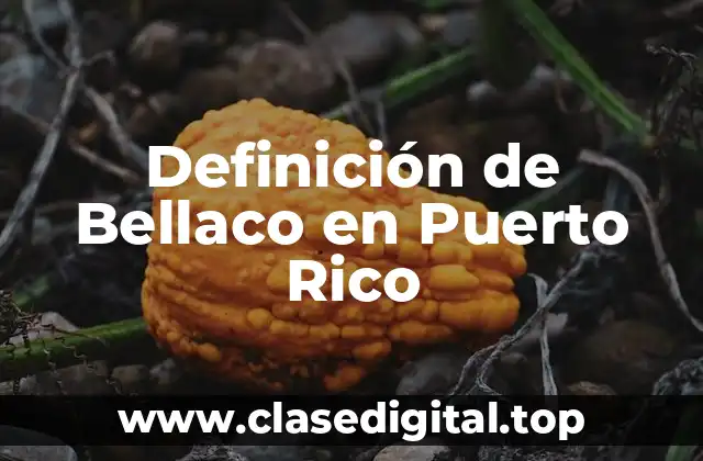 Definición de Bellaco en Puerto Rico