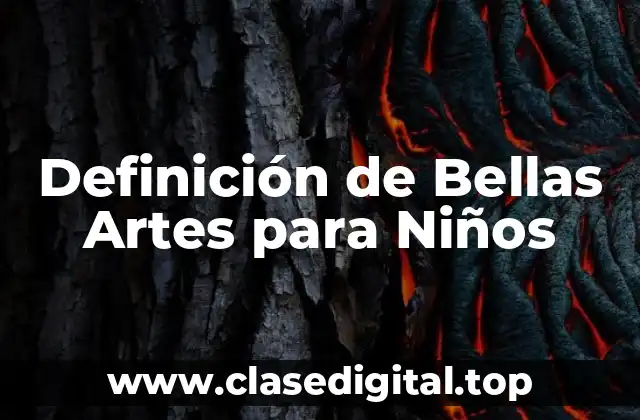 Definición de Bellas Artes para Niños