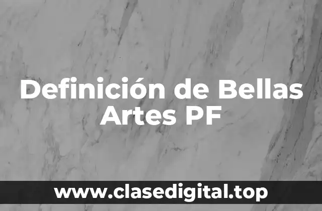 Definición de Bellas Artes PF