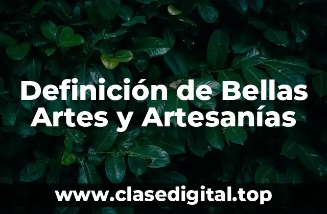 Definición de Bellas Artes y Artesanías