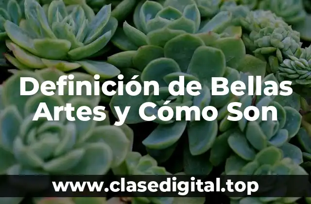 Definición de Bellas Artes y Cómo Son