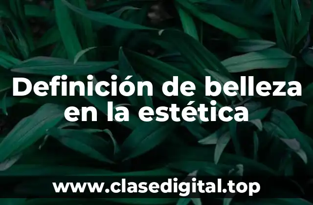 Definición de belleza en la estética