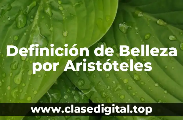 Definición de Belleza por Aristóteles