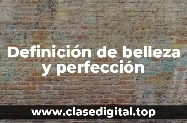 Definición de belleza y perfección