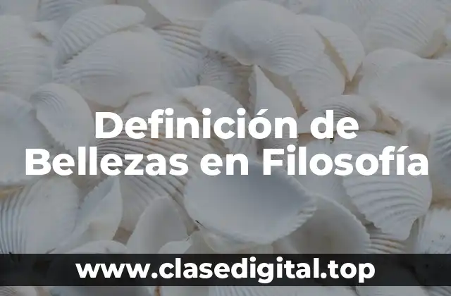 Definición de Bellezas en Filosofía