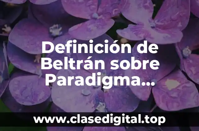 Definición de Beltrán sobre Paradigma Horizontal